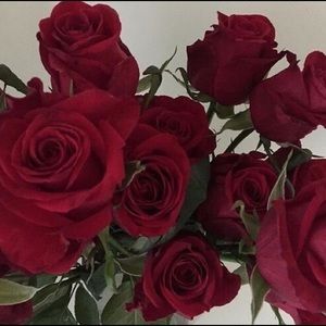 Meet your Posher, Jenny